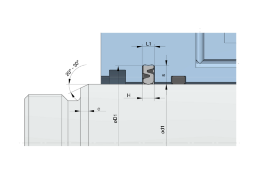 PS2