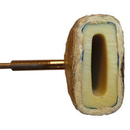 ExSeal