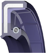 Typ AS P pro web