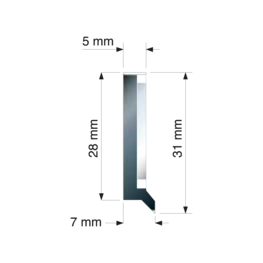 FBA-E 31