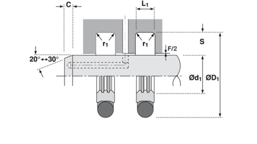 Typ R310